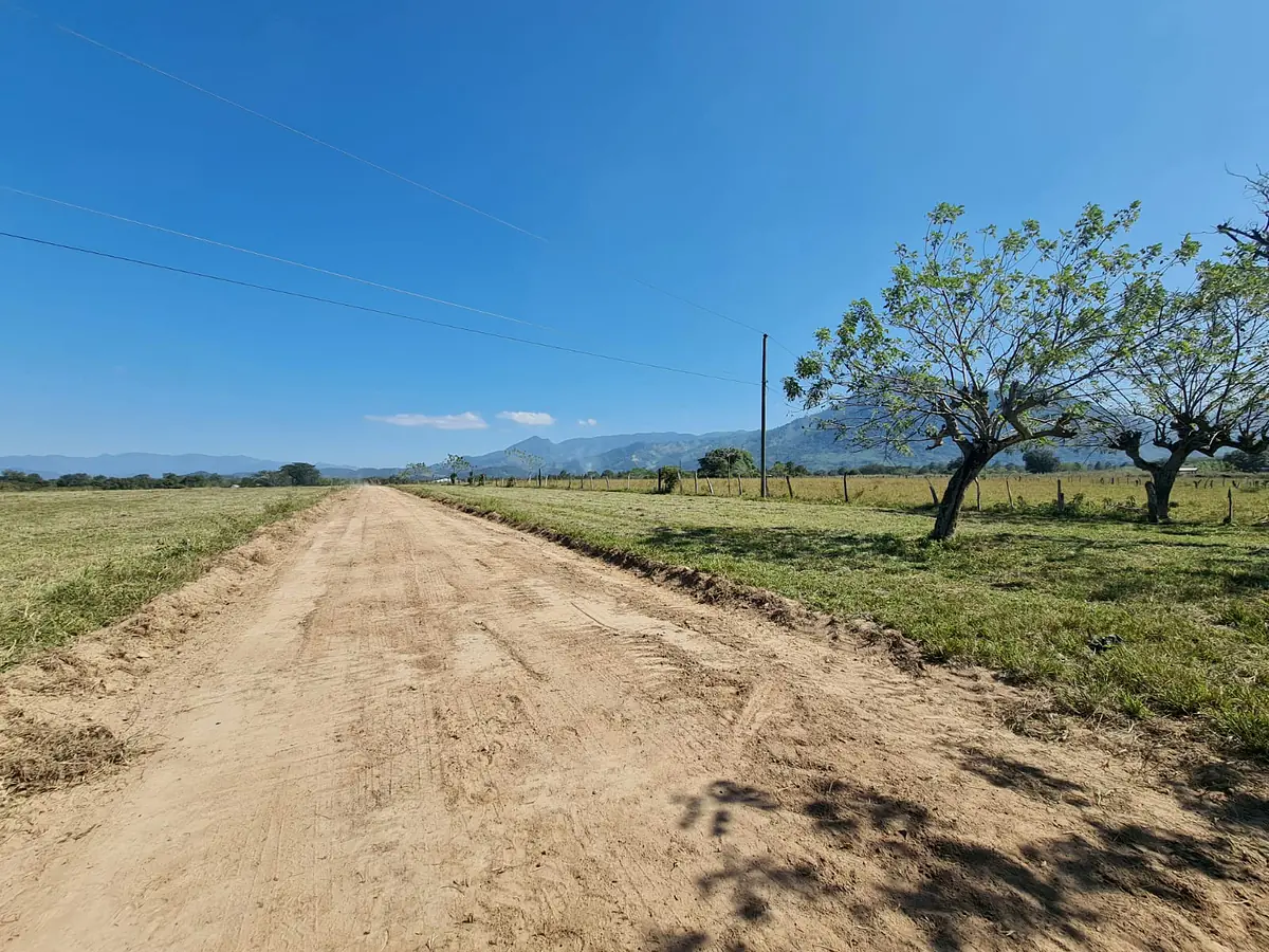 Una calle del proyecto, con árboles a un lado y la montaña al fondo