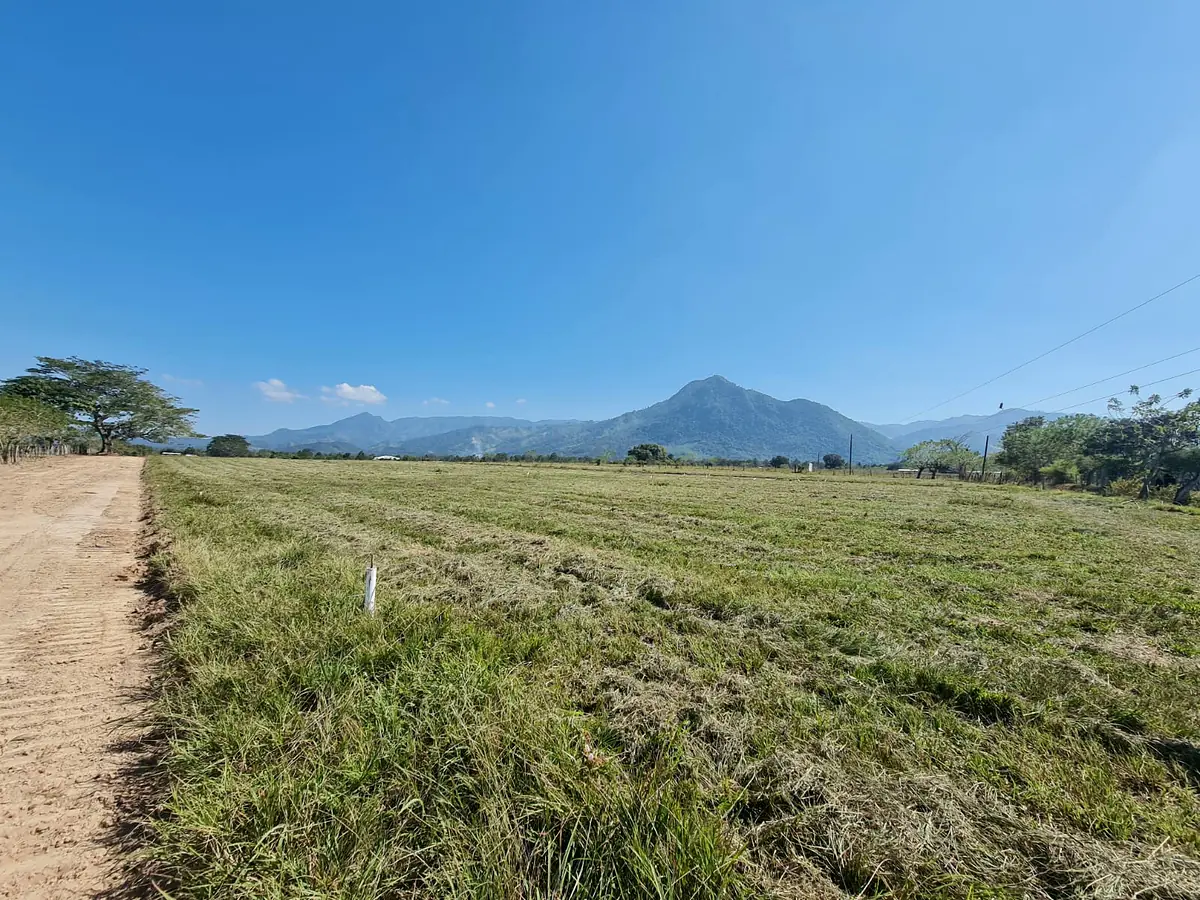 Una estaca marca el lindero de un lote en el zacate; detrás, la montaña